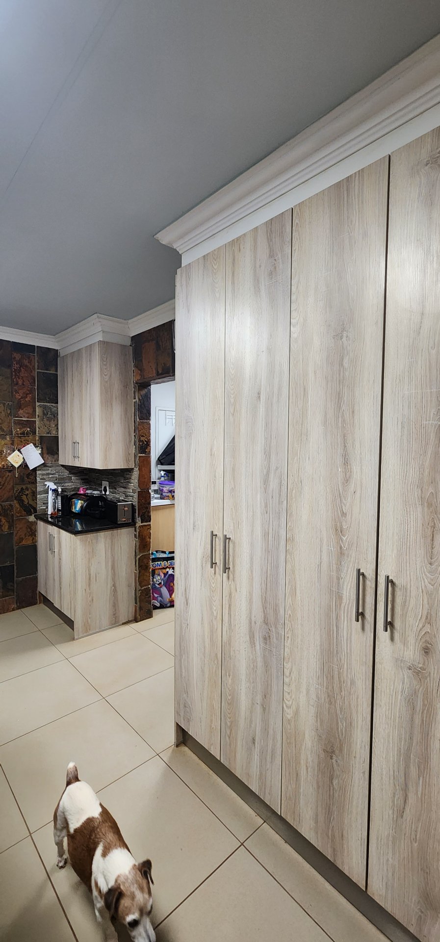 To Let commercial Property for Rent in Rietfontein A H North West